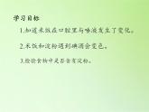 教科版（2001）科学六年级下册 2.3 米饭、淀粉和碘酒的变化(17) 课件