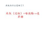 教科版（2001）科学六年级下册 2.3 米饭、淀粉和碘酒的变化(17) 课件