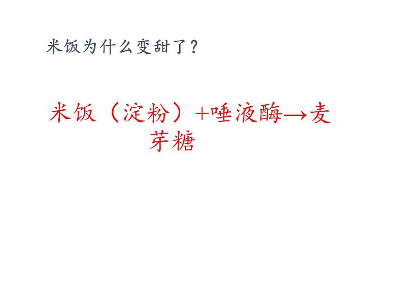 教科版（2001）科学六年级下册 2.3 米饭、淀粉和碘酒的变化(17) 课件05