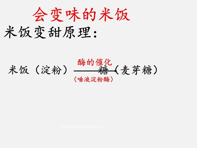 教科版（2001）科学六年级下册 2.3 米饭、淀粉和碘酒的变化(14) 课件第5页