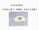 教科版（2001）科学六年级下册 2.3 米饭、淀粉和碘酒的变化(16) 课件
