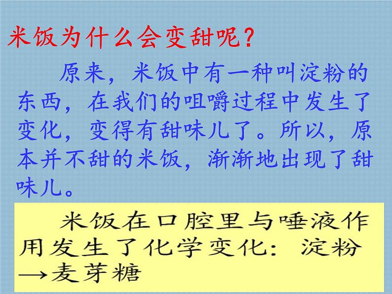 教科版（2001）科学六年级下册 2.3 米饭、淀粉和碘酒的变化(16) 课件第6页