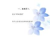 教科版（2001）科学六年级下册 2.3 米饭、淀粉和碘酒的变化(18) 课件