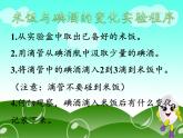 教科版（2001）科学六年级下册 2.3 米饭、淀粉和碘酒的变化(24) 课件