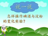教科版（2001）科学六年级下册 2.3 米饭、淀粉和碘酒的变化(24) 课件