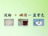 教科版（2001）科学六年级下册 2.3 米饭、淀粉和碘酒的变化(22) 课件