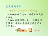 教科版（2001）科学六年级下册 2.3 米饭、淀粉和碘酒的变化(20) 课件