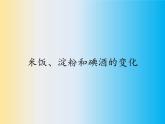教科版（2001）科学六年级下册 2.3 米饭、淀粉和碘酒的变化(26) 课件