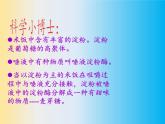 教科版（2001）科学六年级下册 2.3 米饭、淀粉和碘酒的变化(26) 课件