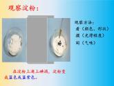 教科版（2001）科学六年级下册 2.3 米饭、淀粉和碘酒的变化(26) 课件