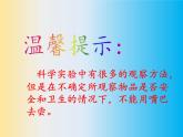 教科版（2001）科学六年级下册 2.3 米饭、淀粉和碘酒的变化(26) 课件