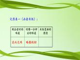 教科版（2001）科学六年级下册 2.3 米饭、淀粉和碘酒的变化(27) 课件
