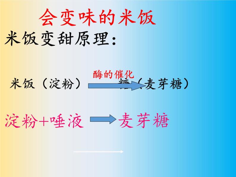 教科版（2001）科学六年级下册 2.3 米饭、淀粉和碘酒的变化(28) 课件08