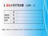 教科版（2001）科学六年级下册 2.4 《小苏打和白醋的变化》 课件