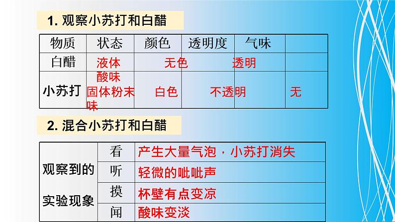 教科版（2001）科学六年级下册 2.4 《小苏打和白醋的变化》 课件第5页