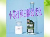 教科版（2001）科学六年级下册 2.4 小苏打和白醋的变化 (2) 课件
