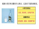 教科版（2001）科学六年级下册 2.4 小苏打和白醋的变化 (4) 课件