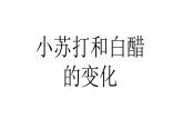 教科版（2001）科学六年级下册 2.4 小苏打和白醋的变化 (5) 课件