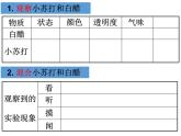 教科版（2001）科学六年级下册 2.4 小苏打和白醋的变化(1) 课件