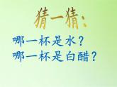 教科版（2001）科学六年级下册 2.4 小苏打和白醋的变化(1) 课件