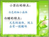 教科版（2001）科学六年级下册 2.4 小苏打和白醋的变化(2) 课件