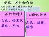 教科版（2001）科学六年级下册 2.4 小苏打和白醋的变化(2) 课件