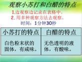 教科版（2001）科学六年级下册 2.4 小苏打和白醋的变化(3) 课件