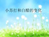 教科版（2001）科学六年级下册 2.4 小苏打和白醋的变化(7) 课件