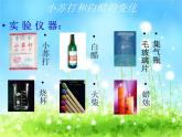 教科版（2001）科学六年级下册 2.4 小苏打和白醋的变化(7) 课件