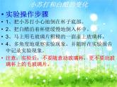教科版（2001）科学六年级下册 2.4 小苏打和白醋的变化(7) 课件