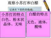 教科版（2001）科学六年级下册 2.4 小苏打和白醋的变化(5) 课件
