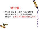 教科版（2001）科学六年级下册 2.4 小苏打和白醋的变化(6) 课件
