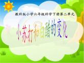 教科版（2001）科学六年级下册 2.4 小苏打和白醋的变化(10) 课件