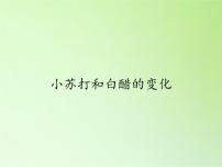 科学六年级下册4、小苏打和白醋的变化课文内容课件ppt