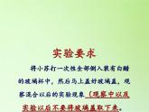 教科版（2001）科学六年级下册 2.4 小苏打和白醋的变化(14) 课件