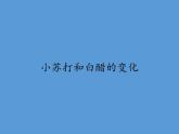 教科版（2001）科学六年级下册 2.4 小苏打和白醋的变化(18) 课件