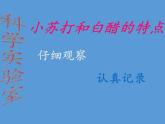 教科版（2001）科学六年级下册 2.4 小苏打和白醋的变化(20) 课件