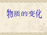 教科版（2001）科学六年级下册 2.4 小苏打和白醋的变化_(2) 课件