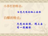 教科版（2001）科学六年级下册 2.4 小苏打和白醋的变化_(2) 课件