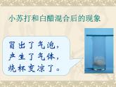 教科版（2001）科学六年级下册 2.4 小苏打和白醋的变化_(2) 课件