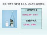 教科版（2001）科学六年级下册 2.4 小苏打和白醋的变化_(1) 课件
