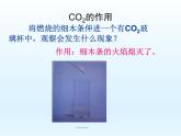 教科版（2001）科学六年级下册 2.4 小苏打和白醋的变化_(1) 课件