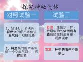 小苏打和白醋的变化PPT课件免费下载