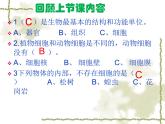 教科版（2001）科学六年级下册 第二单元 物质的变化 课件