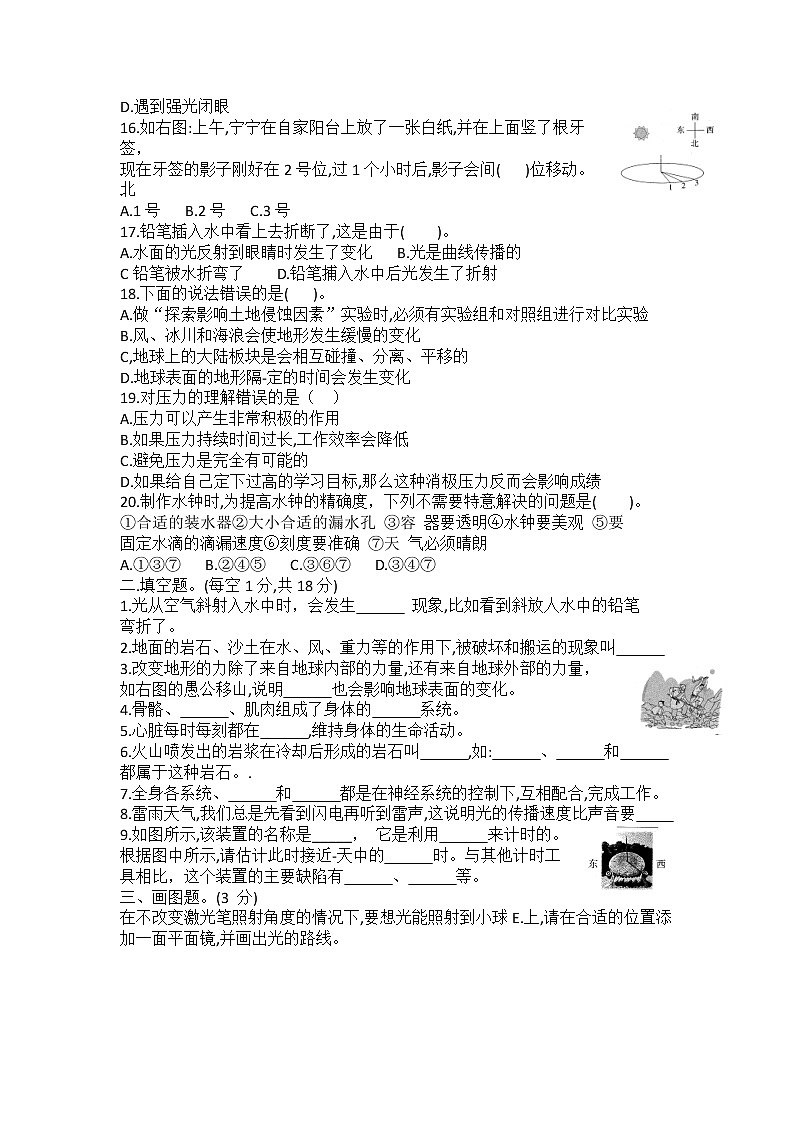 教科版（2017）五年级科学上册期末试卷02