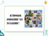 蘇教版六下科學2.5《多樣的棲息地》教學課件