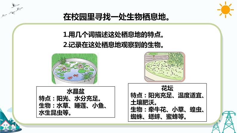 苏教版六下科学2.5《多样的栖息地》教学课件07