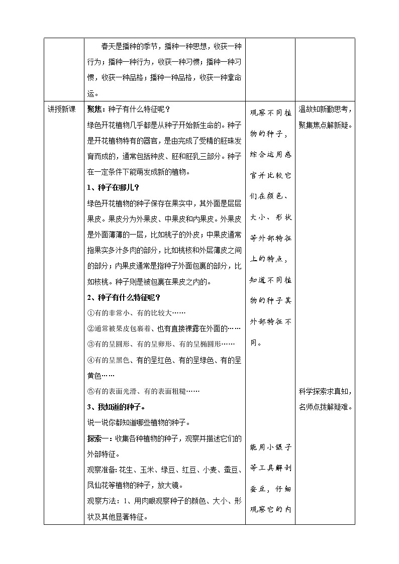 1.1种子里孕育着新生命  科教版四年级下册科学  课件+教案+练习02