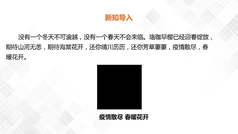 1.1种子里孕育着新生命  科教版四年级下册科学  课件+教案+练习02