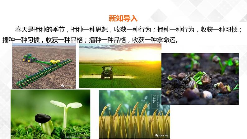 1.1种子里孕育着新生命  科教版四年级下册科学  课件+教案+练习03